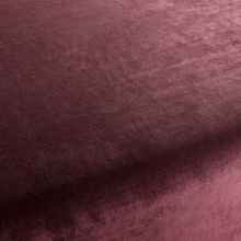 Carlucci New York Velvet overgordijnstof in kleur CA7988/081