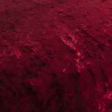 Carlucci Velluto Gelato overgordijnstof in kleur CA1456/011