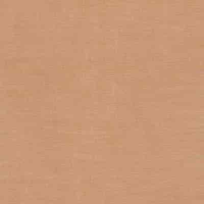 De Ploeg Akin Overgordijnstof – kleurcode 12 De Ploeg Akin overgordijnstof van 100% Polyester Trevira CS Eco, 305 cm, met 11 door de bron vermelde kleuren. Afgebeeld in kleurcode 12.