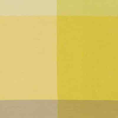 De Ploeg Check Inbetween – kleurcode 06 De Ploeg Check inbetween stof op 300 cm, met 5 door de bron vermelde kleuren; samenstelling niet compleet vastgelegd. Afgebeeld in kleurcode 06.
