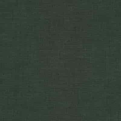 De Ploeg Clover overgordijnstof van 100% Recycled Polyester, 300 cm, met 38 door de bron vermelde kleuren. Afgebeeld in kleurcode 58.