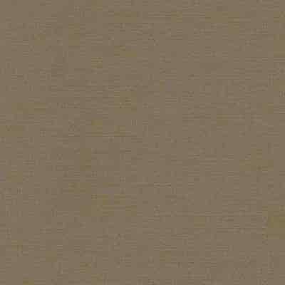 De Ploeg Distel overgordijnstof van 100% Polyester Brandwerend stof, 300 cm, met 39 door de bron vermelde kleuren. Afgebeeld in kleurcode 11.