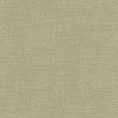 De Ploeg Eden Overgordijnstof – kleurcode 91 De Ploeg Eden overgordijnstof van 75% gerecycled polyester, 25% polyester, 300 cm, met 18 door de bron vermelde kleuren. Afgebeeld in kleurcode 91.