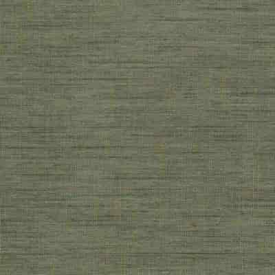 De Ploeg Forecast Inbetween – kleurcode 05 De Ploeg Forecast inbetween stof van 100% Polyester Trevira CS, 310 cm, met 19 door de bron vermelde kleuren. Afgebeeld in kleurcode 05.
