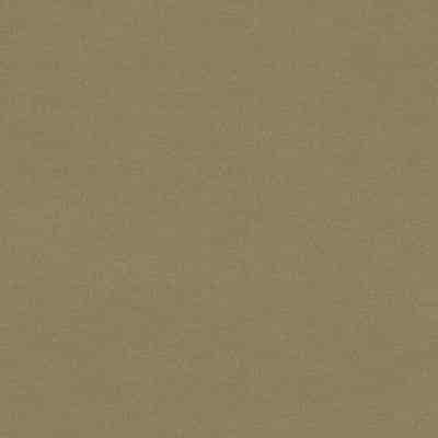 De Ploeg Goodnight Overgordijnstof – kleurcode 65 De Ploeg Goodnight overgordijnstof van 100% Polyester Brandwerend stof, 290 cm, met 40 door de bron vermelde kleuren. Afgebeeld in kleurcode 65.