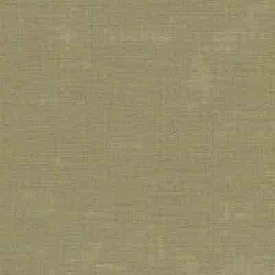 De Ploeg Nano Inbetween – kleurcode 86 De Ploeg Nano inbetween stof van 67% gerecycled polyester vlamvertragend, 33% polyester vlamvertragend, 310 cm, met 16 door de bron vermelde kleuren. Afgebeeld in kleurcode 86.