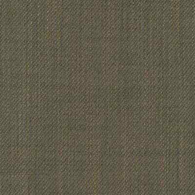 De Ploeg Owen Overgordijnstof – kleurcode 88 De Ploeg Owen overgordijnstof van 100% gerecycled polyester trevira cs, 325 cm, met 6 door de bron vermelde kleuren. Afgebeeld in kleurcode 88.