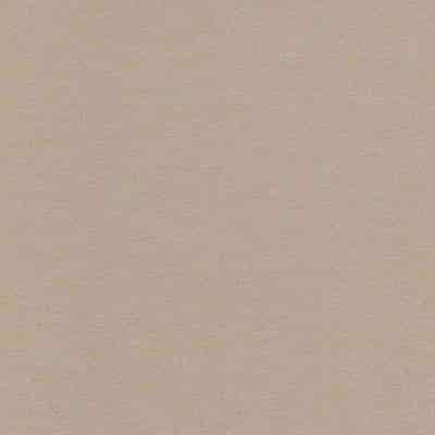 De Ploeg Solid overgordijnstof van 100% Polyester Brandwerend stof, 300 cm, met 27 door de bron vermelde kleuren. Afgebeeld in kleurcode 10.