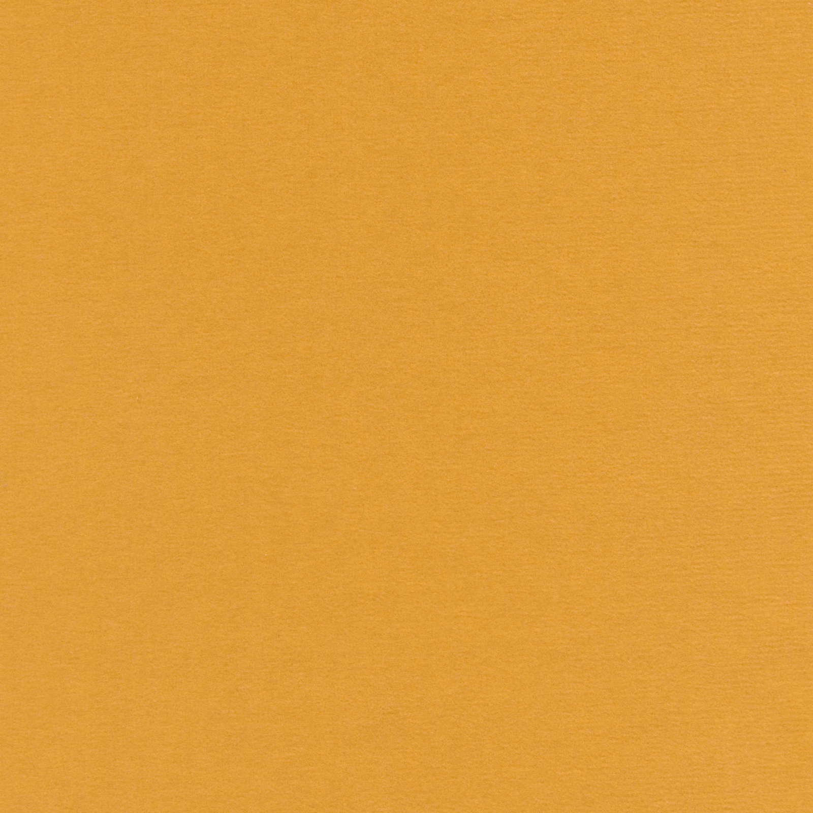 Designs of the Time Almo Bis gordijnstof in kleur YP20015