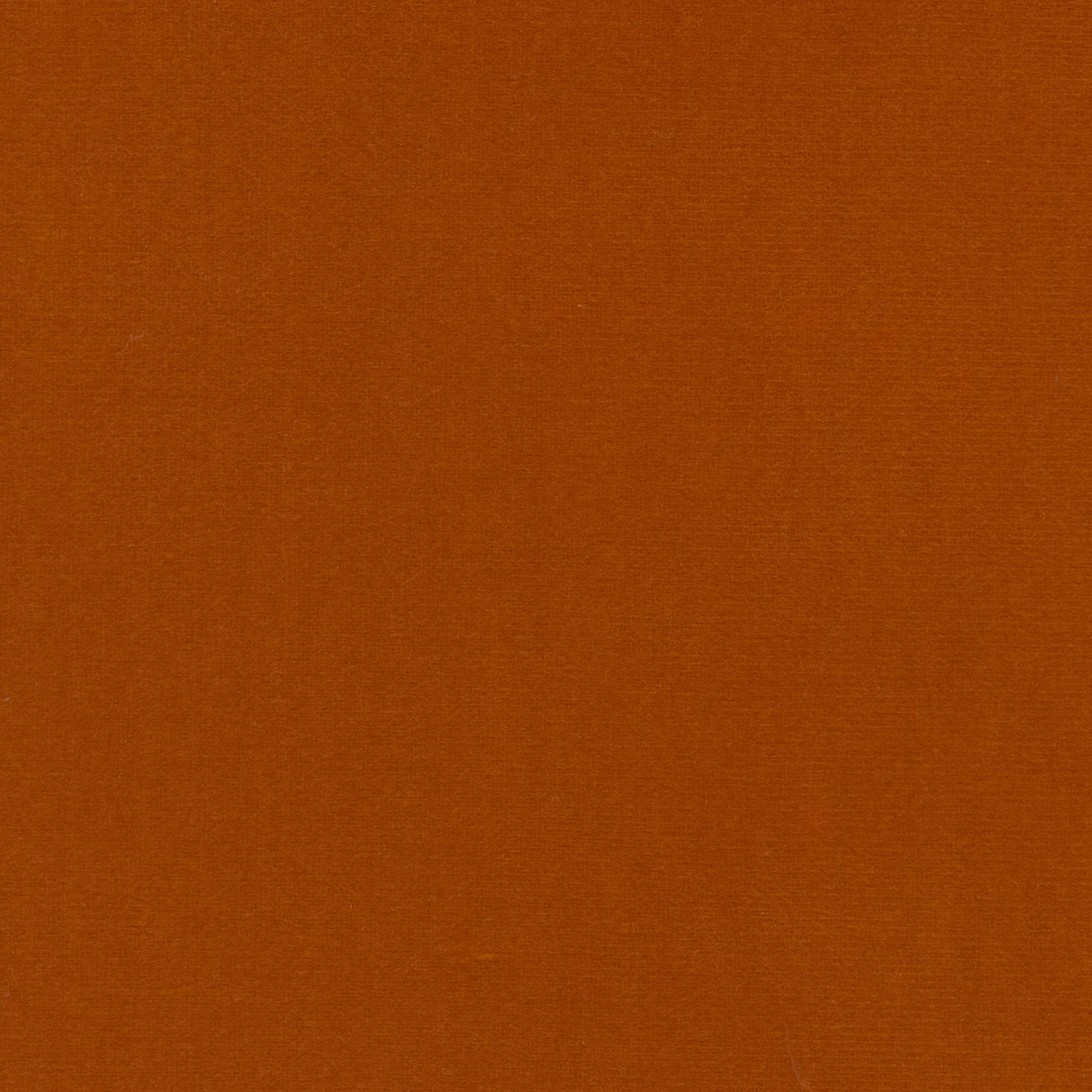 Designs of the Time Almo Bis gordijnstof in kleur YP20017