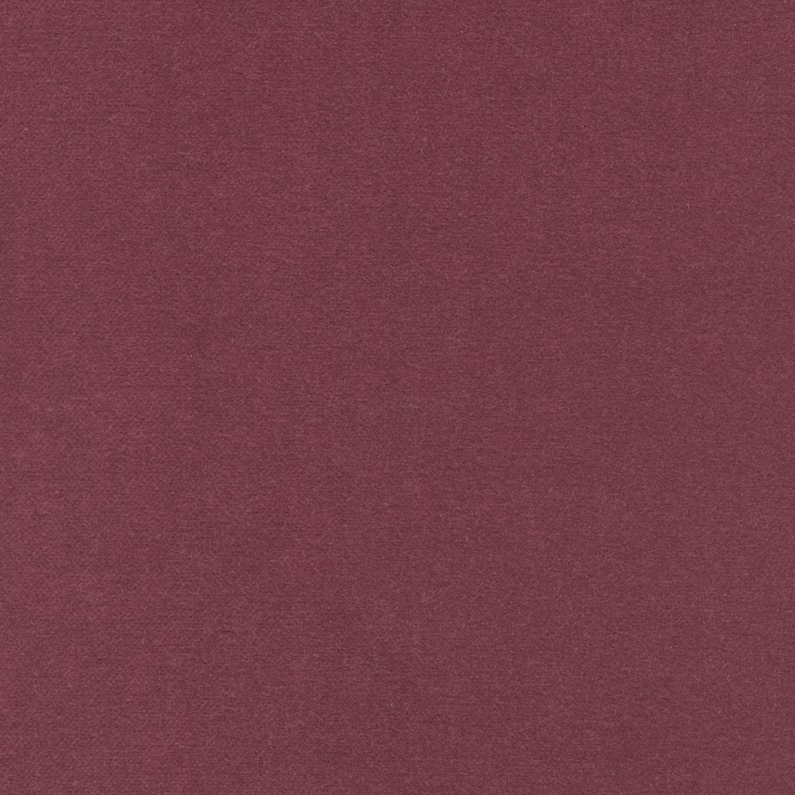 Designs of the Time Almo Bis gordijnstof in kleur YP24035