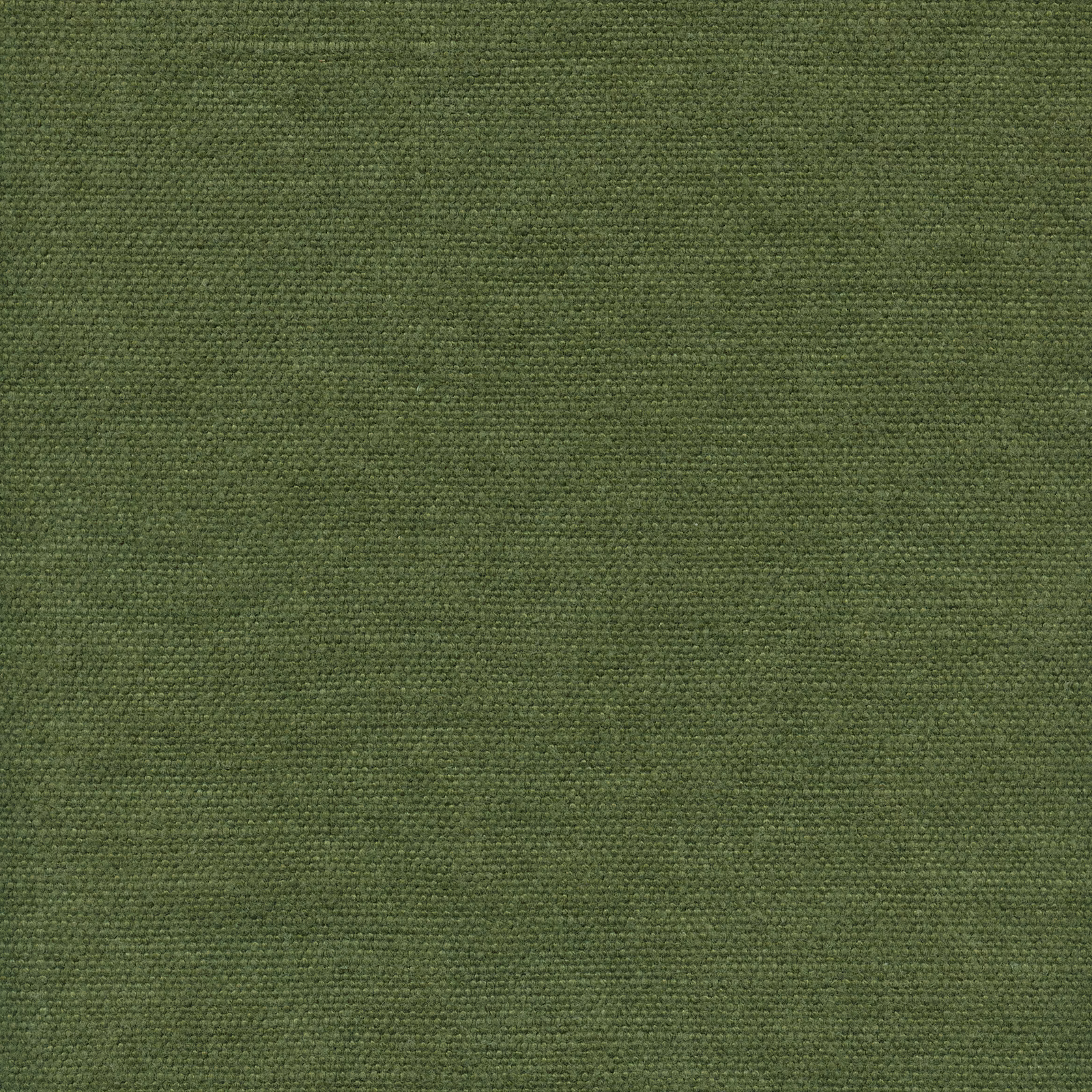 Designs of the Time Wappo gordijnstof in kleur YP24029