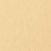 JAB Anstoetz Borneo vitrage stof, kleur 1-6991/040