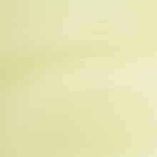 JAB Anstoetz Castella vitrage stof, kleur 1-6824/032