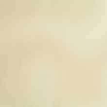 JAB Anstoetz Castella vitrage stof, kleur 1-6824/175
