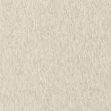 JAB Anstoetz Fayola vitrage stof, kleur JA6057/072