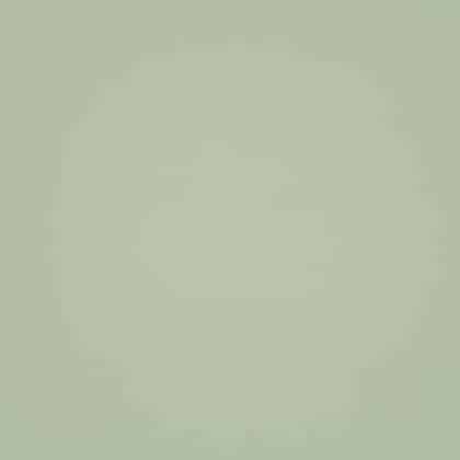 JAB Anstoetz Felicita vitrage stof, kleur 1-6762/030