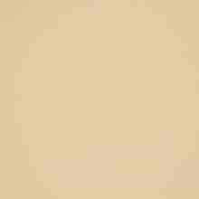 JAB Anstoetz Felicita vitrage stof, kleur 1-6762/040