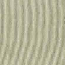 JAB Anstoetz Jasko vitrage stof, kleur JA6143/030