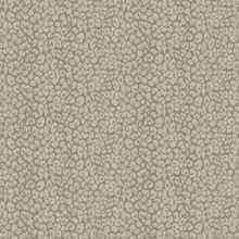JAB Anstoetz Leoni overgordijnstof, kleur JA7154/021