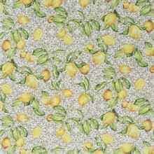 JAB Anstoetz Limoncino overgordijnstof, kleur JA8094/070