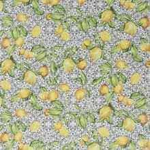 JAB Anstoetz Limoncino overgordijnstof, kleur JA8094/091