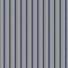 JAB Anstoetz Magic Stripe meubelstof, kleur JA2085/051
