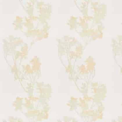 JAB Anstoetz Rosaly vitrage stof, kleur 1-8898/030