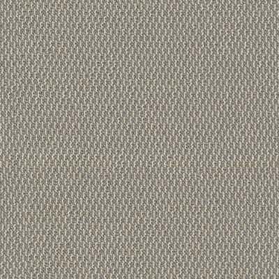 Toppoint CANTO kleur 04 Beige Toppoint CANTO overgordijnstof in kleur 04 Beige