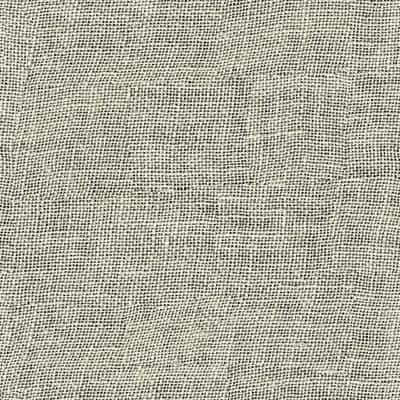Toppoint EVISA VOILE kleur 21 Ivoor Toppoint EVISA VOILE vitrage stof in kleur 21 Ivoor