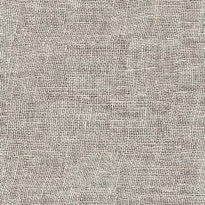 Toppoint EVISA VOILE kleur 22 Ecru Toppoint EVISA VOILE vitrage stof in kleur 22 Ecru