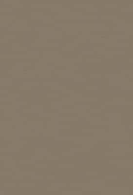 Toppoint ISOLA overgordijnstof in kleur 06 Taupe