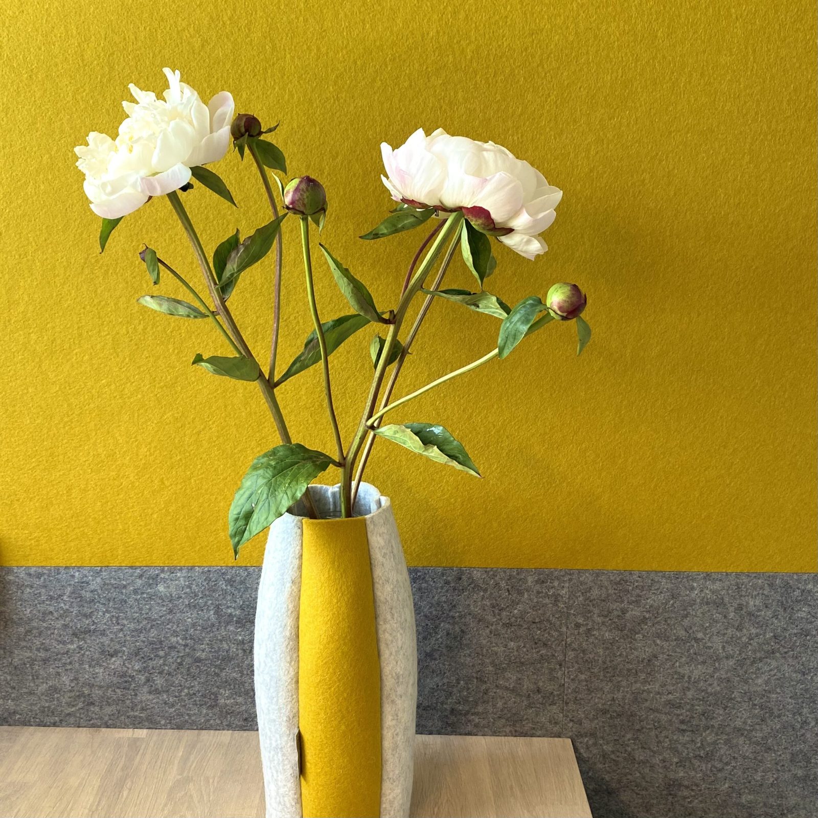 Hollandfelt – gele wolvilten wand in een interieur Gele wolvilten wand achter een vaas met witte pioenrozen