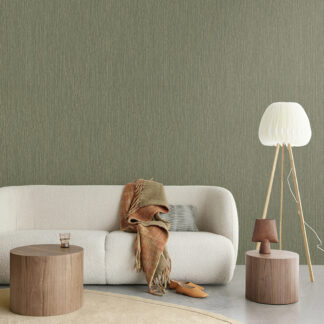 ANAM 350950