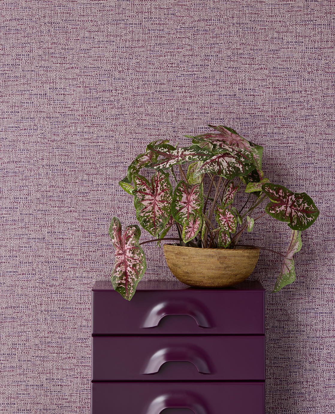 Eijffinger Behang GROOVY 340534 inspiratie bij behang winkel TULAY Behang Rotterdam