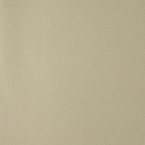 NIGHTSHIFT 64VL BEIGE