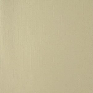 NIGHTSHIFT 82VL TAUPE