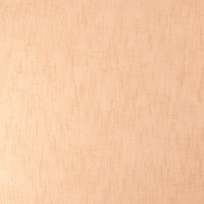 RE FOCUS 65VL SKIN
