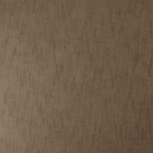 RE FOCUS 87VL BROWN