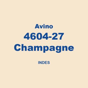 Avino 4604 27 Champagne Indes 01