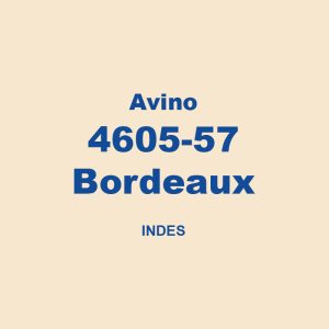 Avino 4605 57 Bordeaux Indes 01