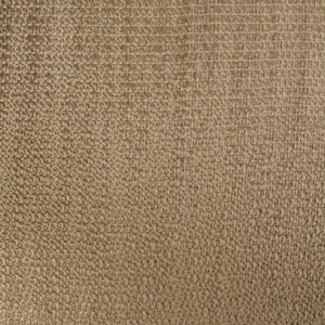 boutique 83mv shiitaki mart visser 01