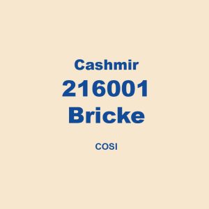 Cashmir 216001 Bricke Cosi 01