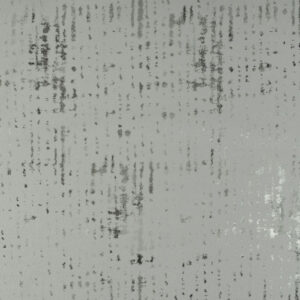 champagne 62mv silver mart visser 01