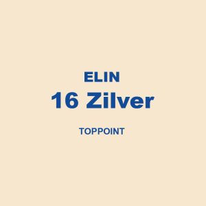 Elin 16 Zilver Toppoint 01