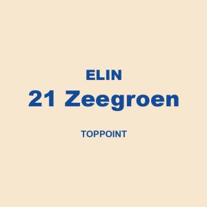 Elin 21 Zeegroen Toppoint 01
