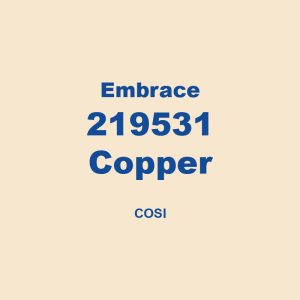 Embrace 219531 Copper Cosi 01