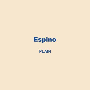 Espino Plain