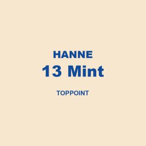 Hanne 13 Mint Toppoint 01