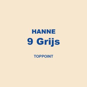 Hanne 9 Grijs Toppoint 01